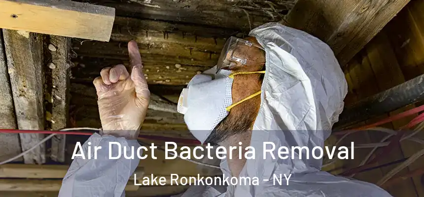 Air Duct Bacteria Removal Lake Ronkonkoma - NY