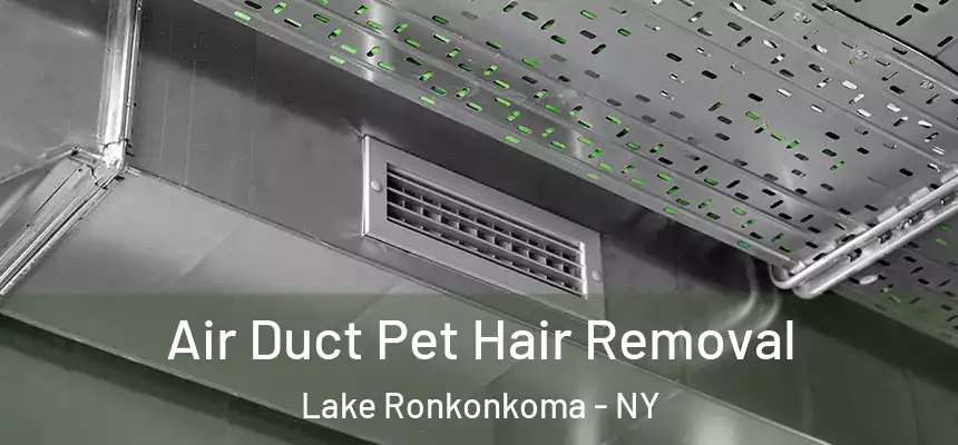 Air Duct Pet Hair Removal Lake Ronkonkoma - NY