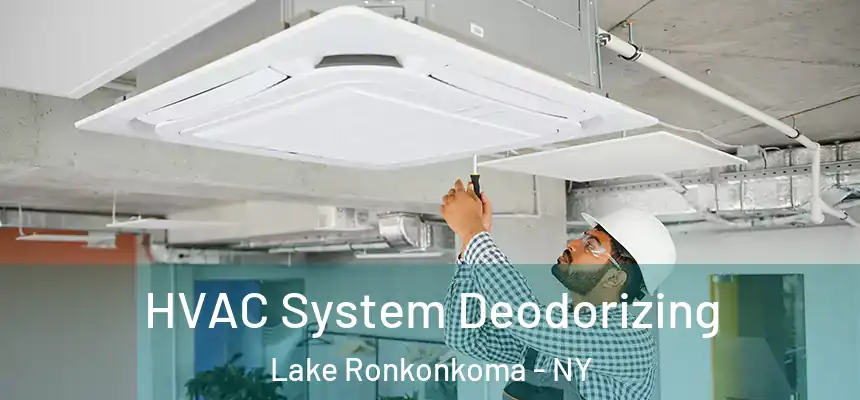 HVAC System Deodorizing Lake Ronkonkoma - NY