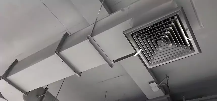 Restorative Allergy Relief Vent Cleaning – Coil, Blower & Housing Detail in Lake Ronkonkoma