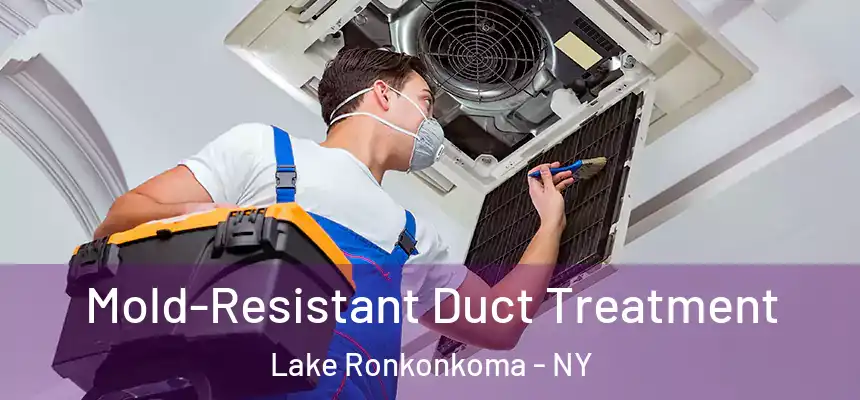 Mold-Resistant Duct Treatment Lake Ronkonkoma - NY