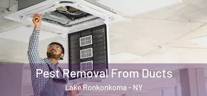 Pest Removal From Ducts Lake Ronkonkoma - NY