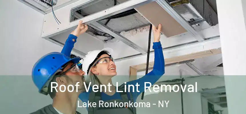 Roof Vent Lint Removal Lake Ronkonkoma - NY