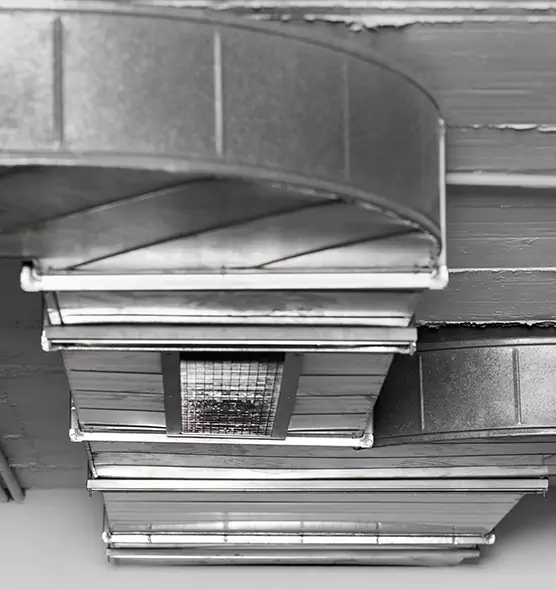 Professional Air Duct Pet Hair Removal in Lake Ronkonkoma, NY