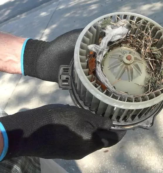 About Air Duct Rat Removal in Lake Ronkonkoma, NY