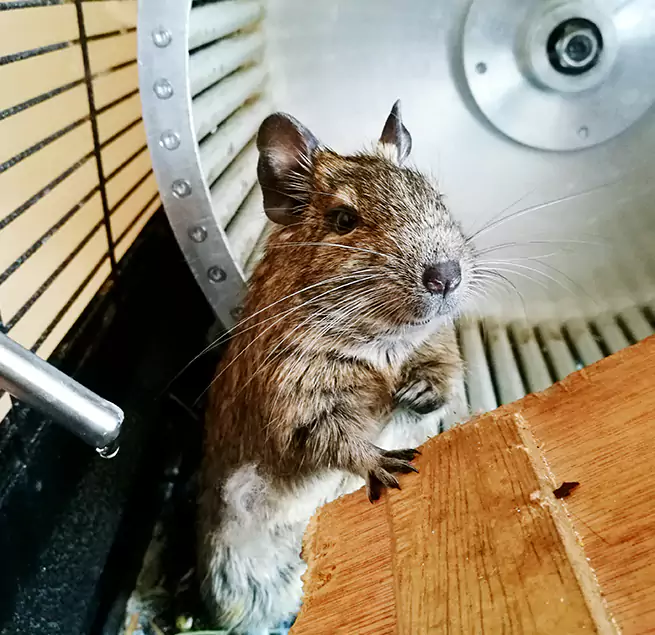 Why Homeowners & Businesses Trust Us Lake Ronkonkoma, NY