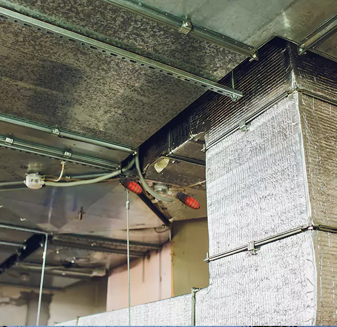 Why Homeowners & Businesses Trust Us Lake Ronkonkoma, NY?