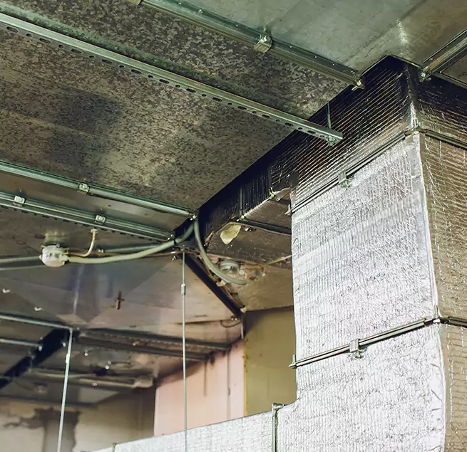 Why Homeowners & Businesses Trust Us in Lake Ronkonkoma, NY?